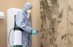 Best Dehumidification Services  in Lumberton, MS